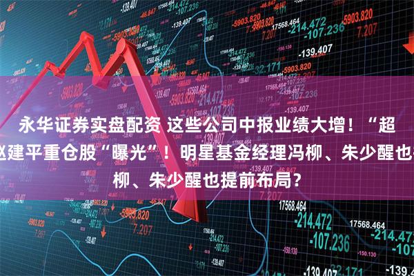 永华证券实盘配资 这些公司中报业绩大增！“超级牛散”赵建平重仓股“曝光”！明星基金经理冯柳、朱少醒也提前布局？