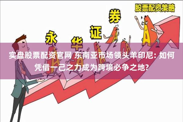 实盘股票配资官网 东南亚市场领头羊印尼: 如何凭借一己之力成为跨境必争之地?