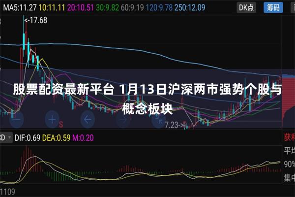 股票配资最新平台 1月13日沪深两市强势个股与概念板块