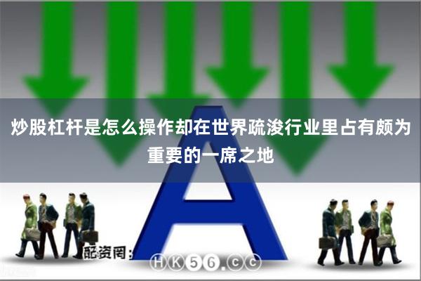 炒股杠杆是怎么操作却在世界疏浚行业里占有颇为重要的一席之地